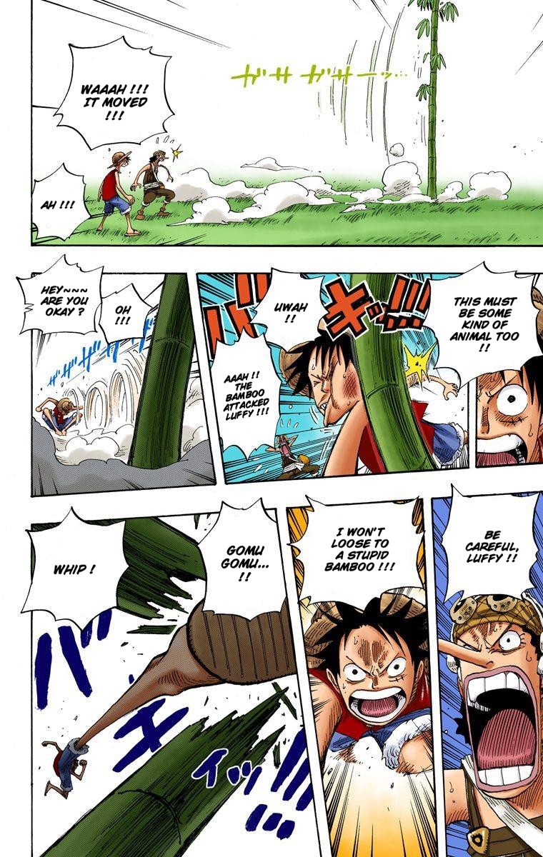 One Piece Digital Colored Chapter 304 image 17